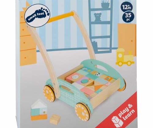 Pastel Baby Walker With Building Blocks